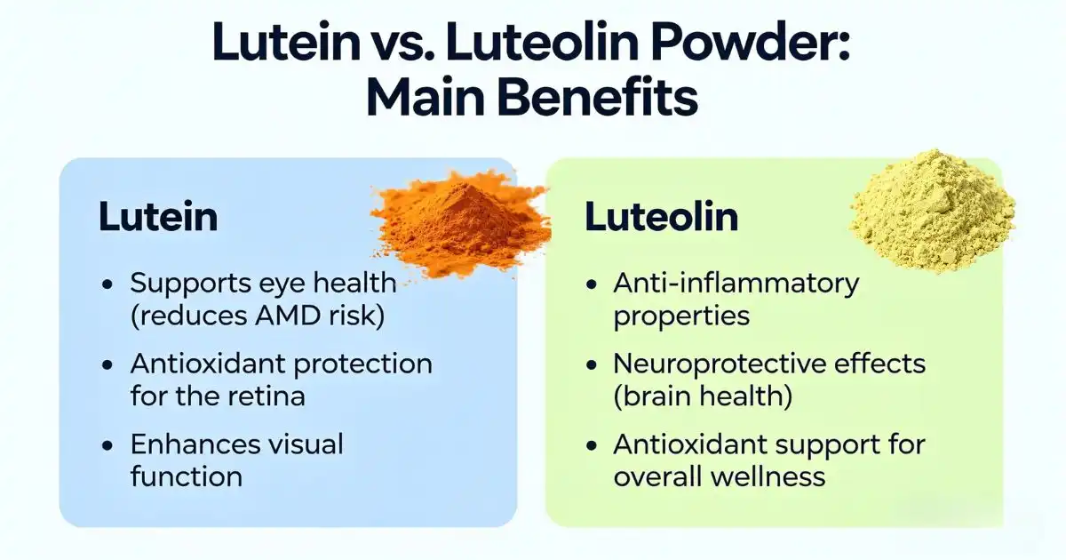 luteolin and lutein benefits luteolin and lutein benefits