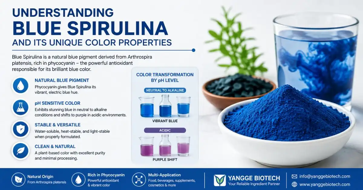 blue spirulina understanding (1) blue spirulina understanding (1)