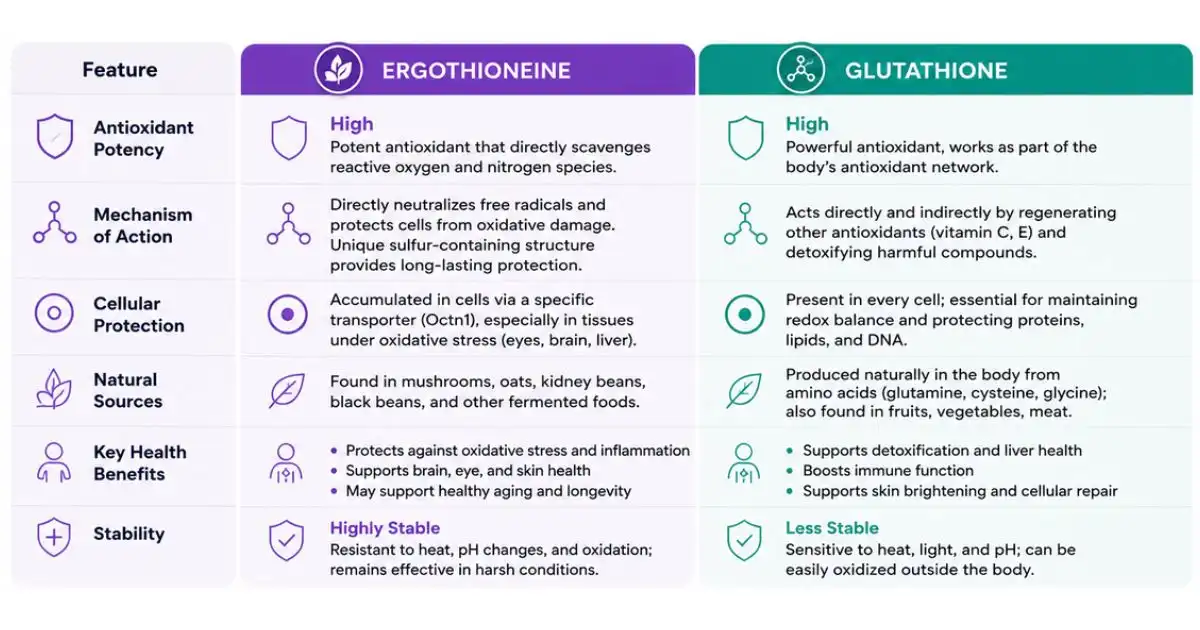 ergothioneine powder Benefits ergothioneine powder Benefits
