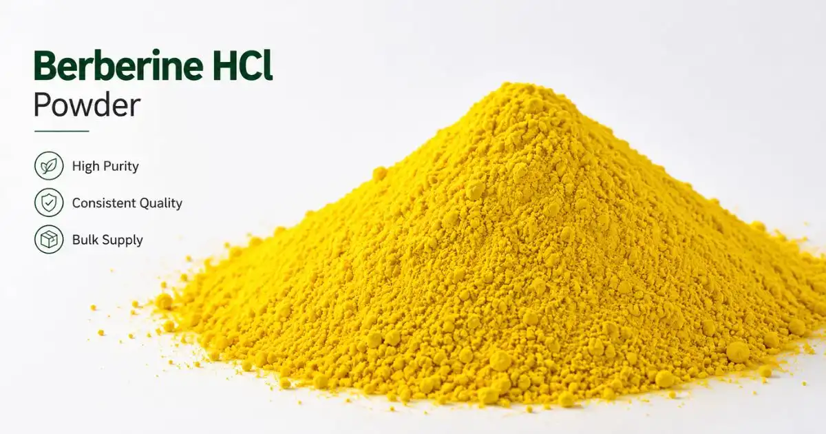 berberine powder berberine powder