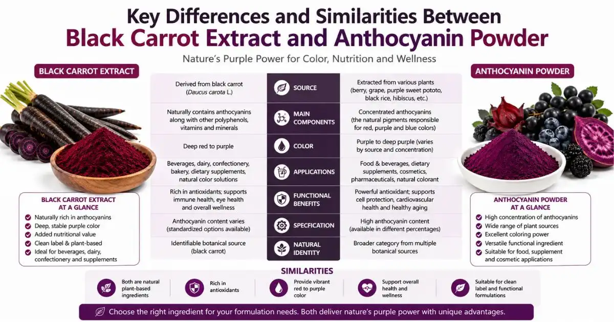 key differences black carrot key differences black carrot
