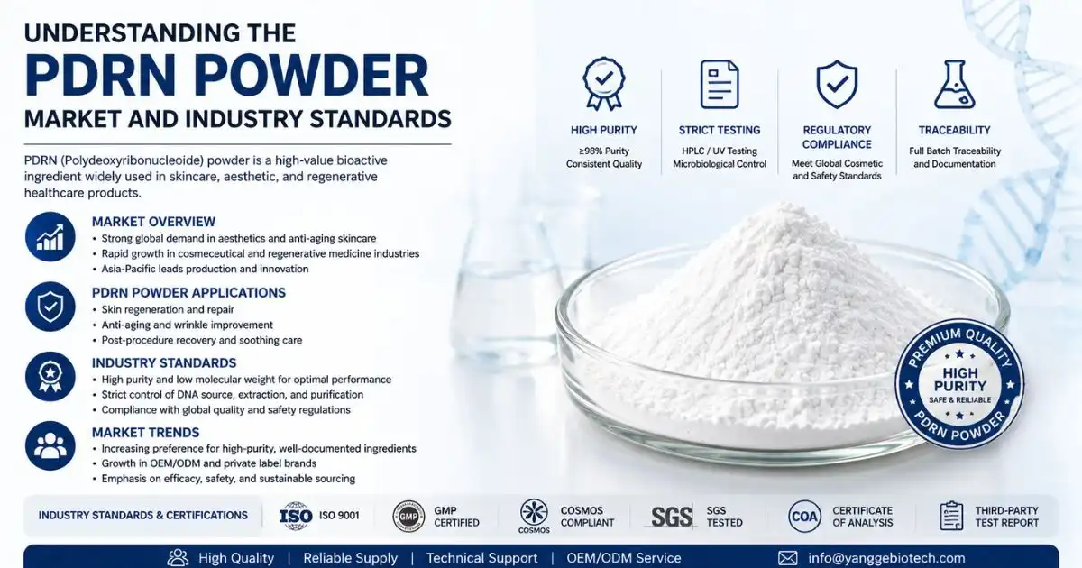 PDRN Powder understanding 