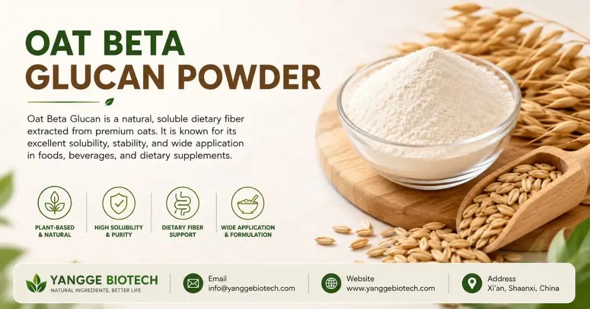 oat beta glucan