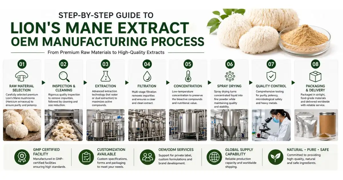 lions mane extract oem manu