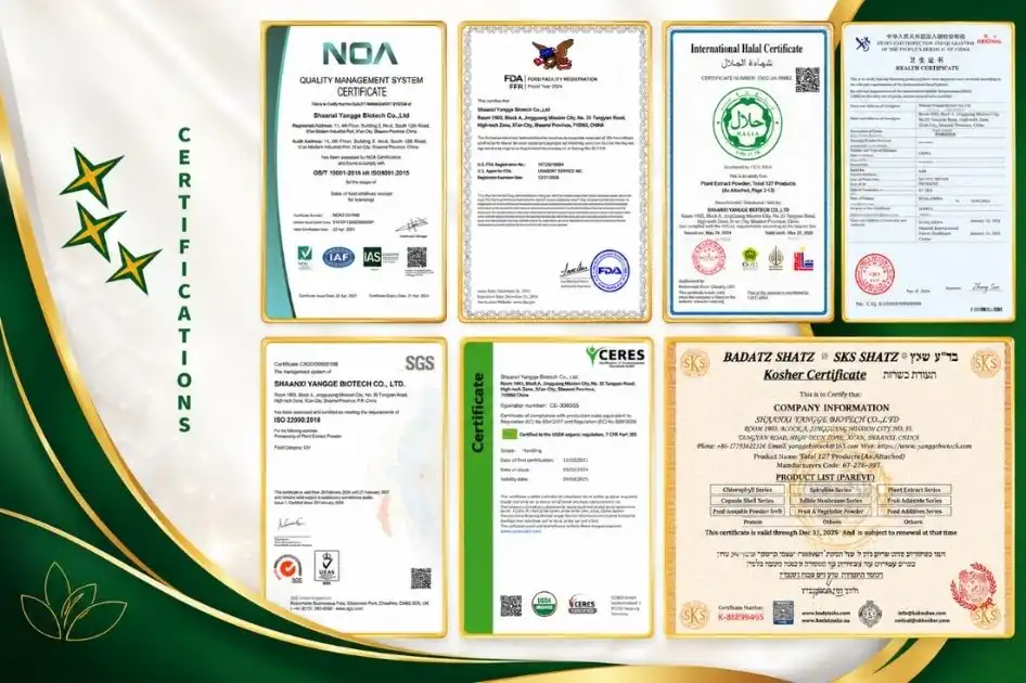cert cert