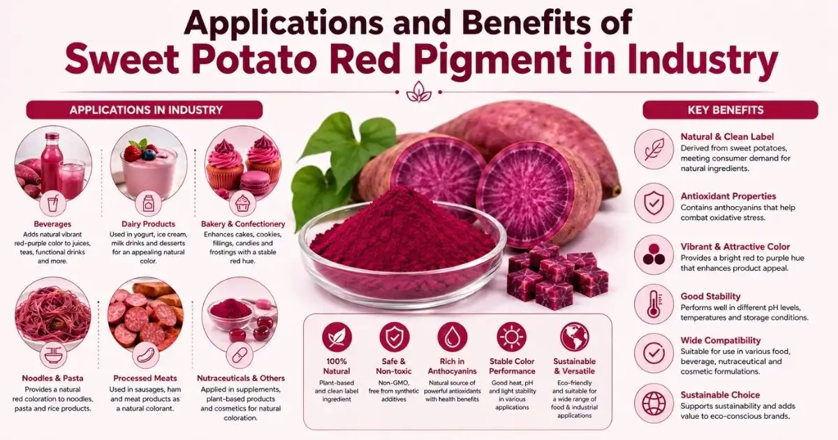 application sweet potato