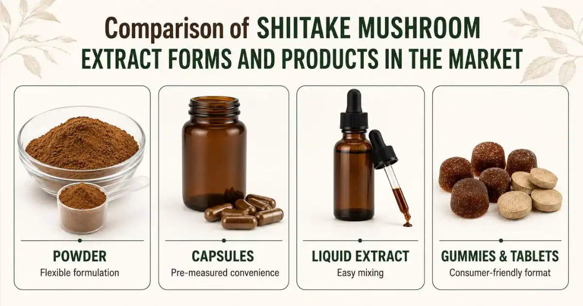 Comparison of Shiitake Mushroom Extract Forms and Products in the Market