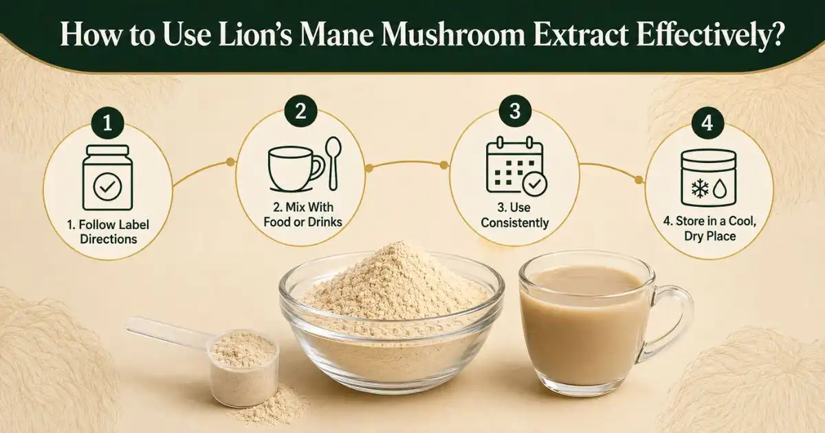 how to use lions mane