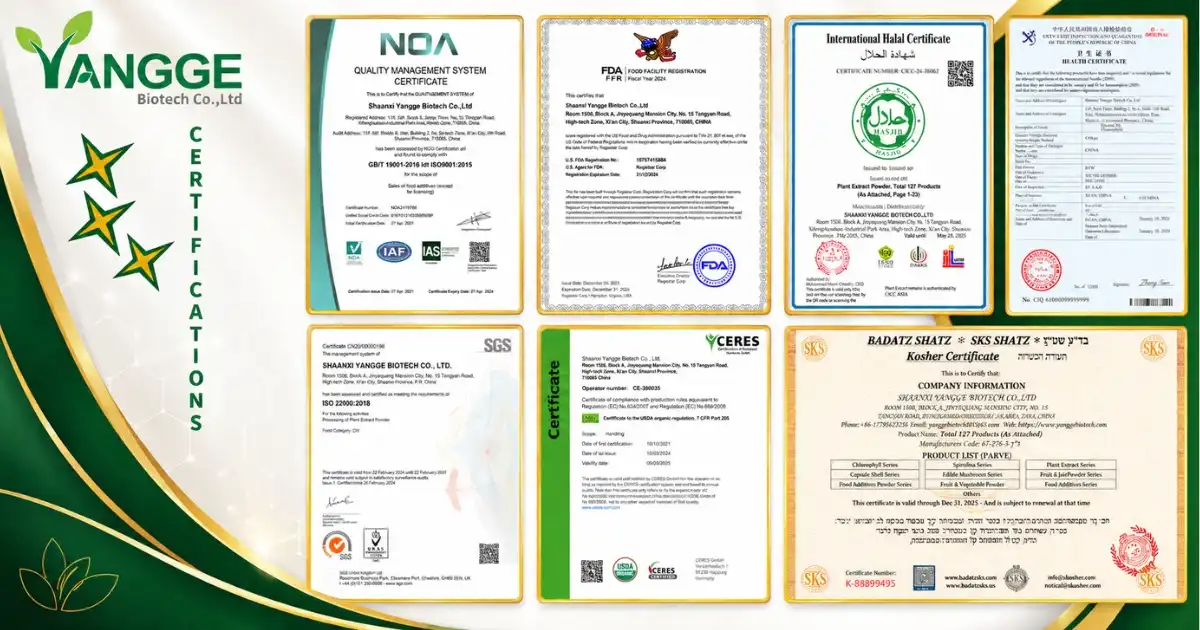 certificate new