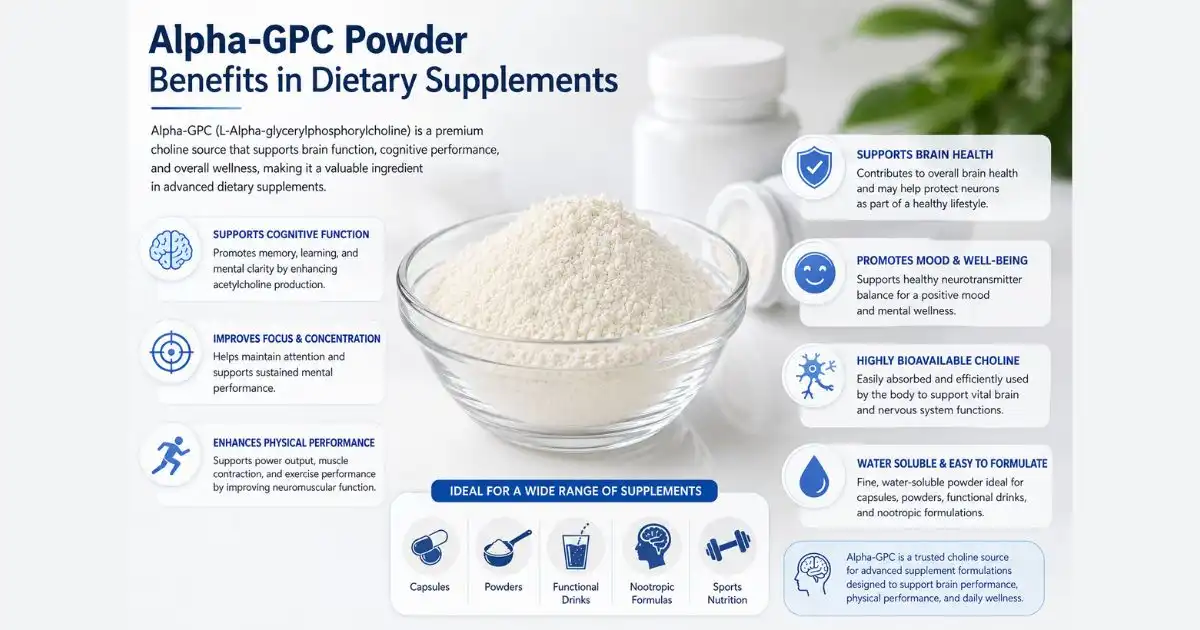 Alpha-GPC Powder Benefits in Dietary Supplements