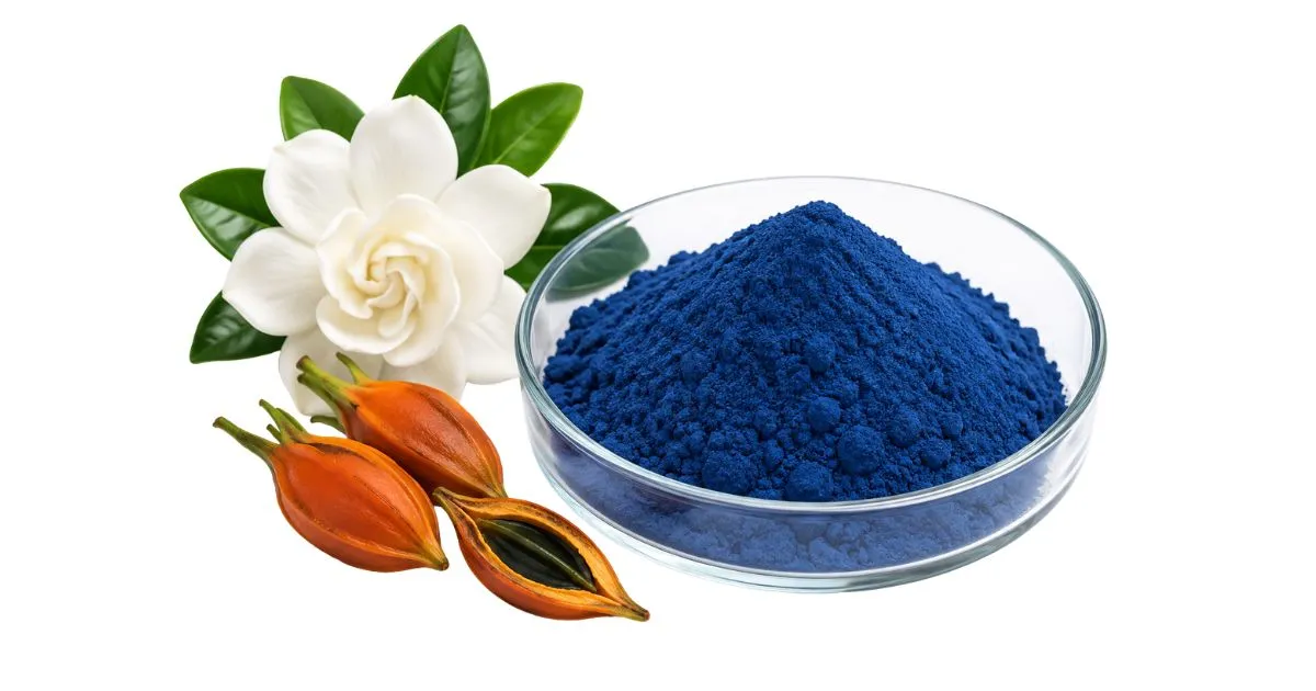 gardenia blue powder (1)