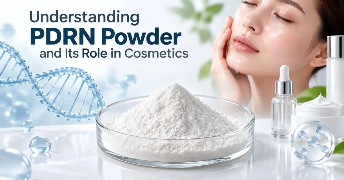 PDRN powder understanding PDRN powder understanding