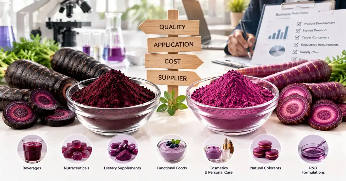 Choosing the Right Extract for Your Business Needs