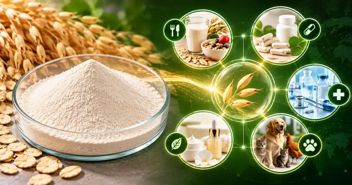 _Using Oat Beta Glucan _Using Oat Beta Glucan