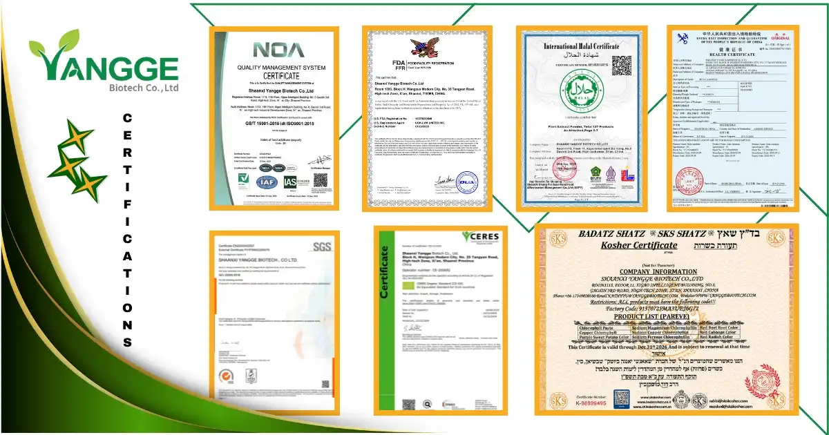 certificate new.jpg certificate new.jpg