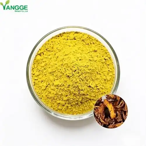 What Is Berberine HCl Powder and Its Applications?