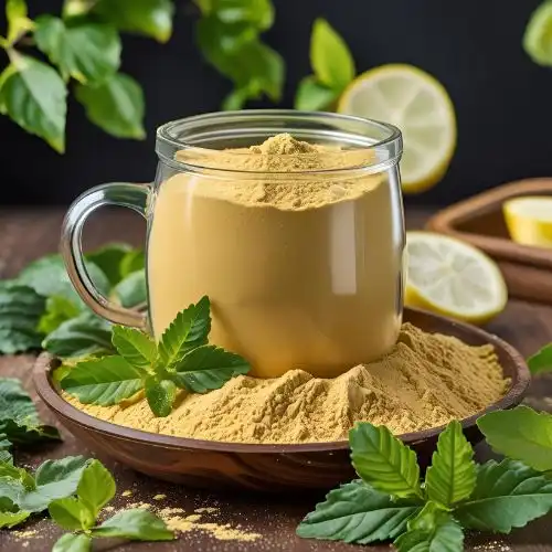 Does kombucha cleanse your body?