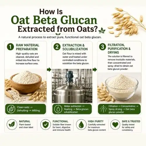 How Is Oat Beta Glucan Extracted from Oats?
