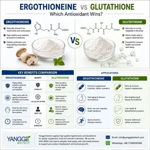Ergothioneine vs Glutathione: Which Antioxidant Wins?